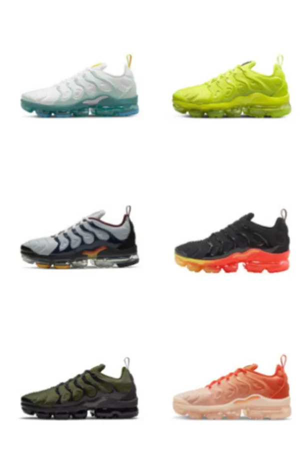 tns shark