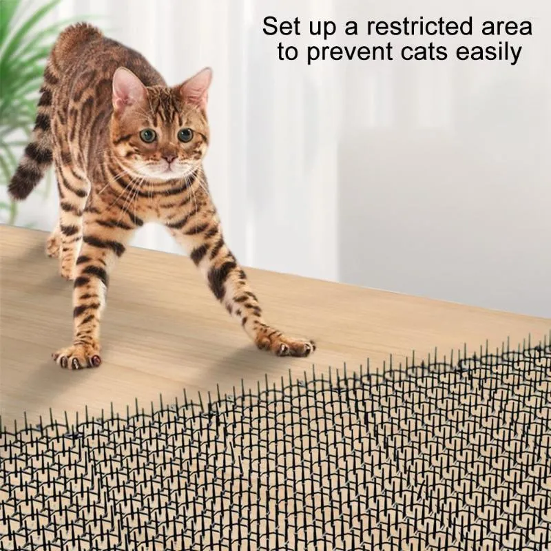 1pc Tapis De Porte Intérieur Pour Animaux De Compagnie Pour Pattes