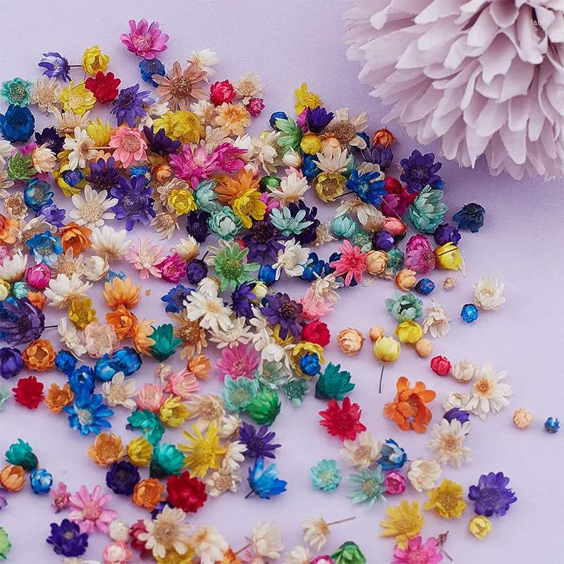 Decorative Flowers 100/200PCS Real Dried Brazil Little Star Flower For DIY Art Craft Epoxy Resin Candle Making Jewellery