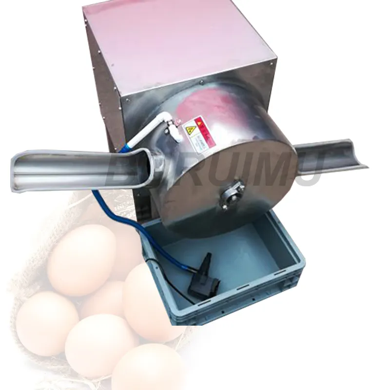 New Design Goose Eggs Cleaning Machine Chicken Egg Washer Small Double Row Duck Egg Washing Equipment