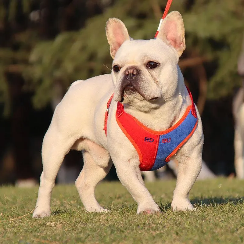 Colliers pour chiens Laisses Laisse pour animaux de compagnie Harnais en daim Corde de sécurité extérieure Correspondance de couleur Respirant Chat Réfléchissant Vente en gros