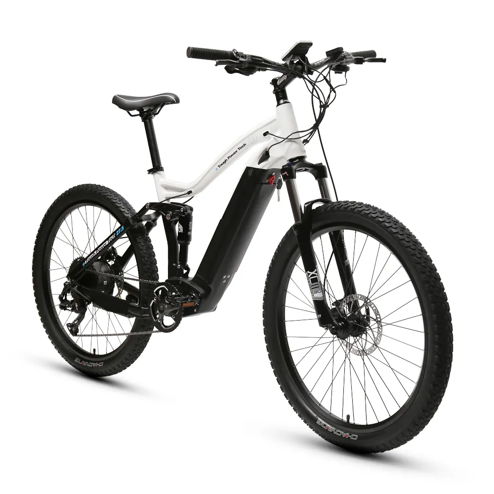 Partihandel 9-växlad elektrisk mountainbike 48V/750W bakre navmotor utanför vägen Elektrisk cykel litiumbatteri Anpassad 48V 9 hastighet