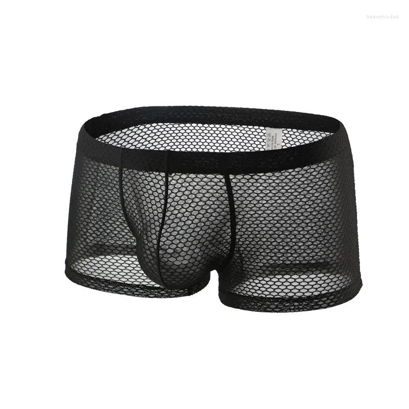 Caleçon Sexy sous-vêtements gai hommes boxeurs Transparent maille culotte homme solide respirant taille basse poche mâle Ropa intérieur Hombre