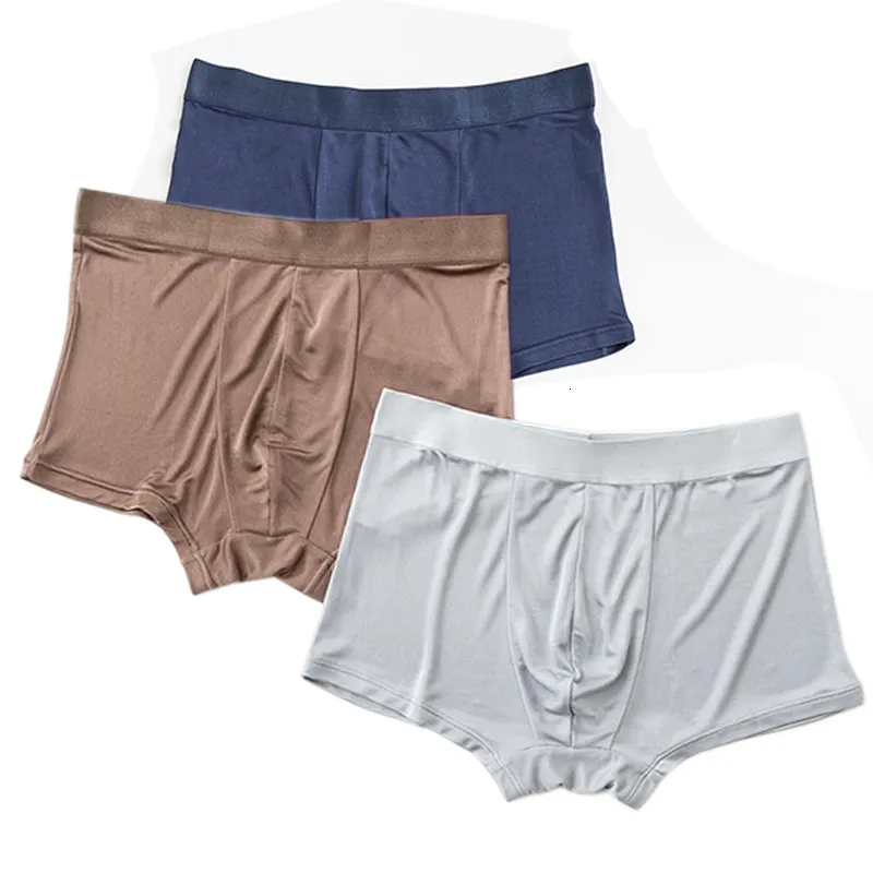 Onderbroek 3pc Silk Underwear Heren 100% zijde ondergoed Heren Hoge kwaliteit Merk Natuurlijke stof Ondergoed 230330