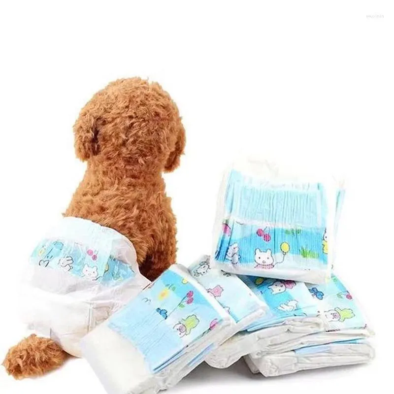 Petsense clearance dog diapers