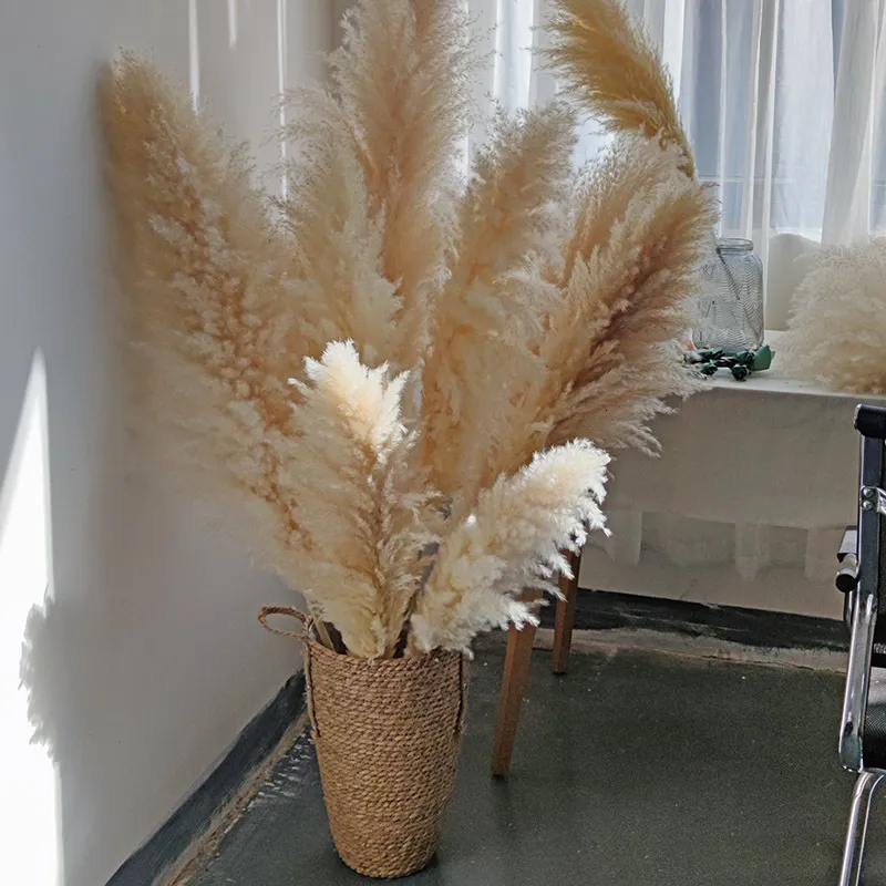 Faux Floral Greenery 120cm Pampas Grass Large XXL XXL Fluffy Dray Flower