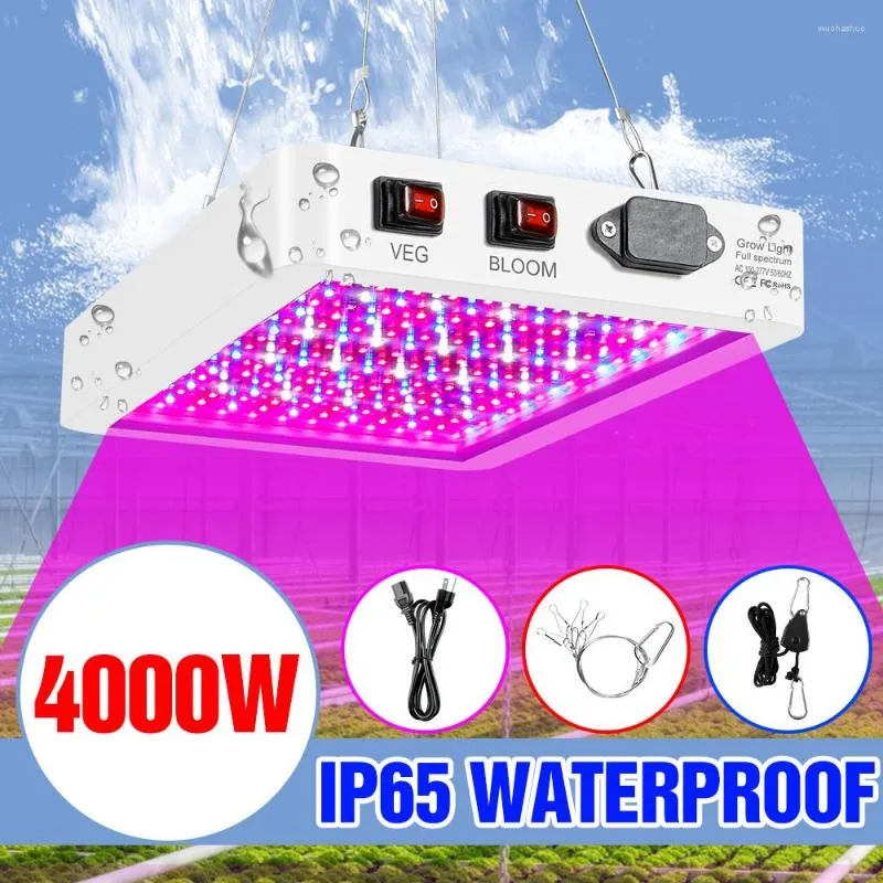 Grow Lights SMD 2835 Fitolamp 4000W 5000W LED Plant Light Full Spectrum Panel Phyto Lamp AC 220V Indoor Greenhouse Growing Bulb EU Plug
