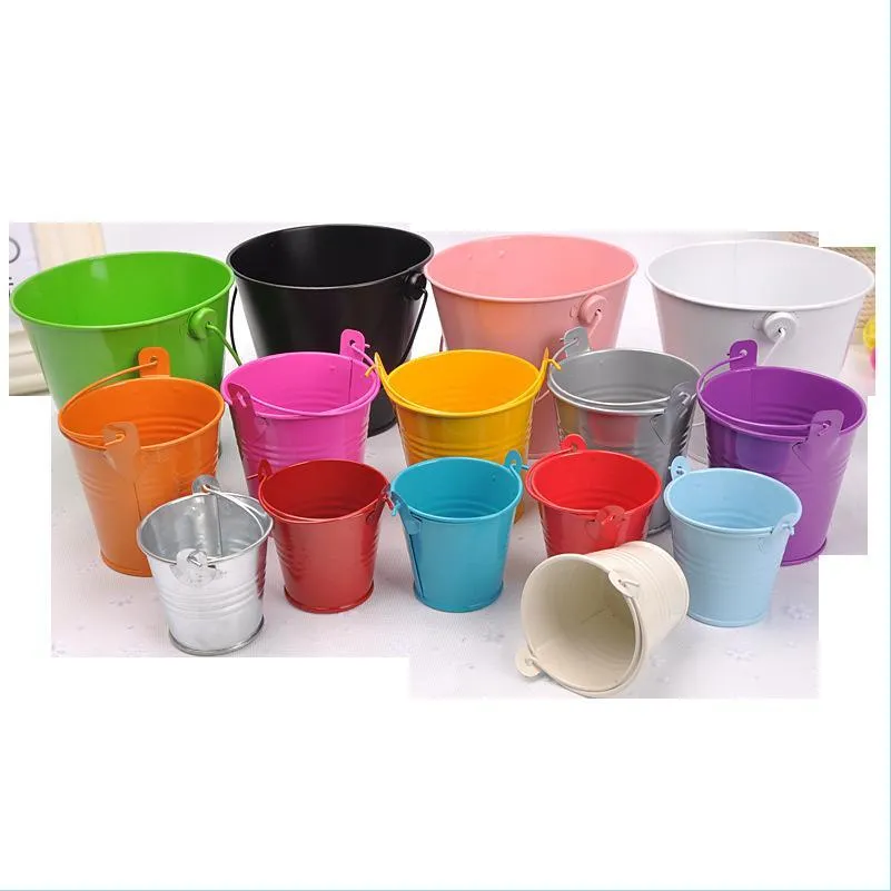 PIANTATRICE CONTENITORE PER Succulente Volpe Vaso Da Fiori Barattoli Da