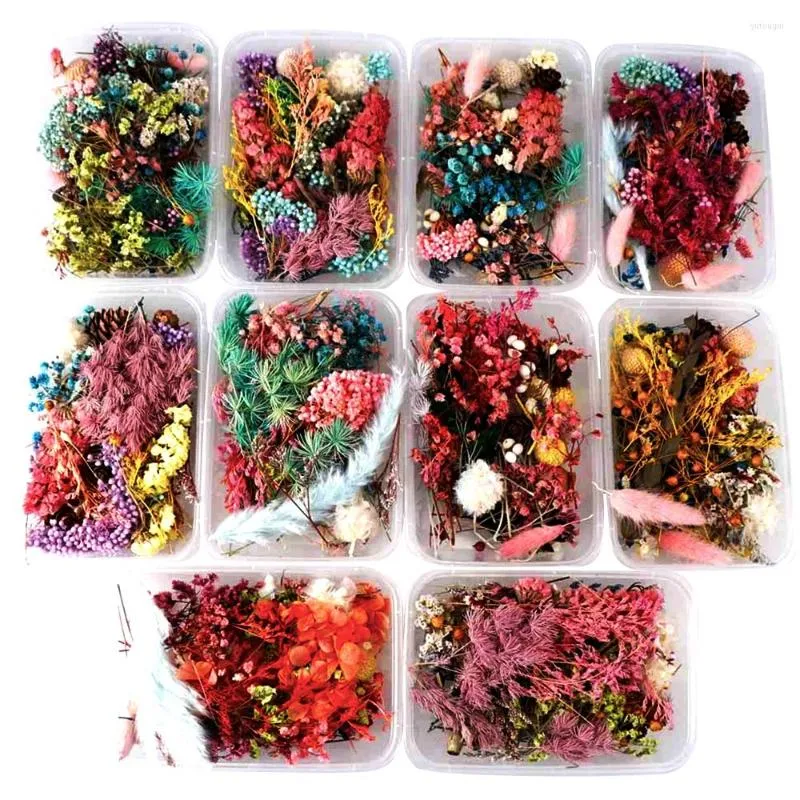 Fleurs décoratives 1 boîte mélange séché pour bijoux en résine plantes sèches pressées fabrication artisanat bricolage moule en Silicone