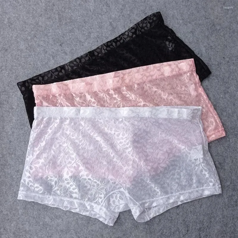 Slip Dentelle Imprim Culotte Transparente Pour Unsex Hommes Sous