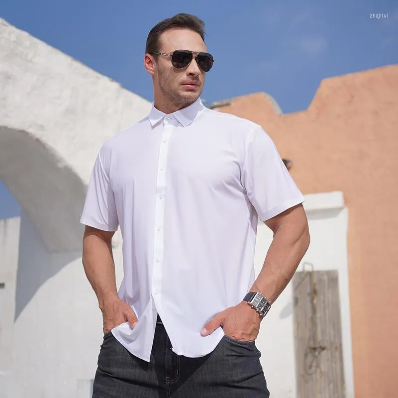 3xl short sleeve dress shirts shop