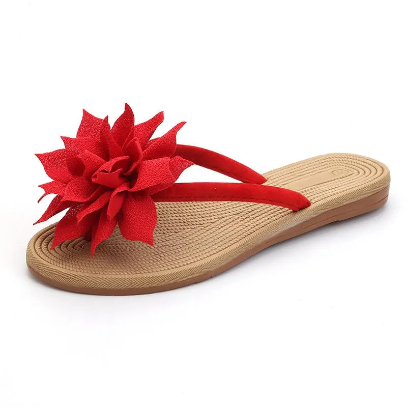 Slippers paragon outlet