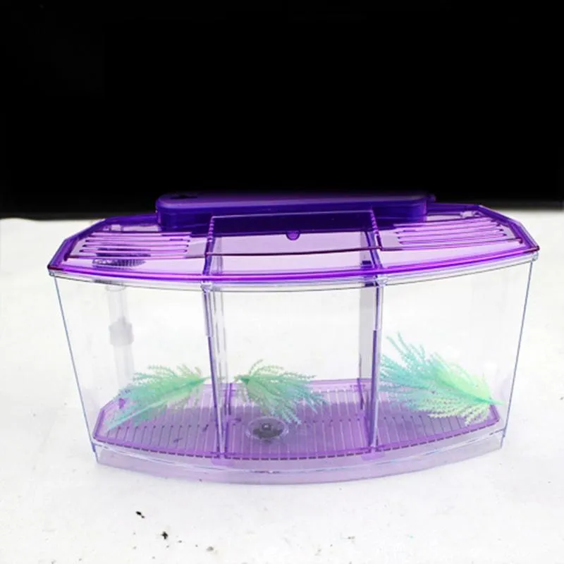 DHgate AT007 Acrylic Triple Split Betta Fish Tank Blue Purple LED Aquarium with Isolation Hatch Pet Supplies