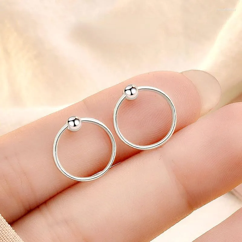 Dangle Earrings Small Circle Hoop Silver Plated Punk Ear Rings For