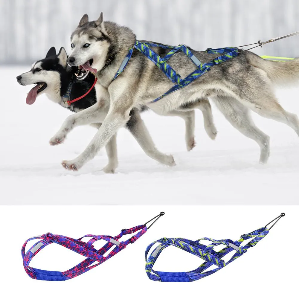Sele reflekterande hund släde sele husdjur vikt dragande släde sele hållbar sele för medelstora hundar som skjuter skijoring