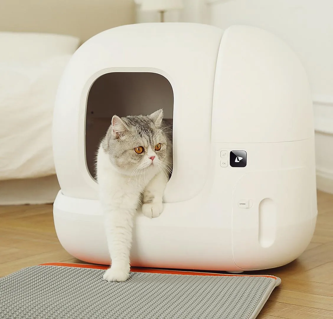 Odorless cat box hot sale