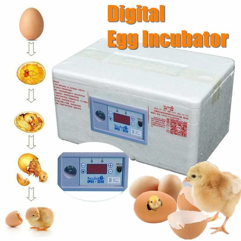 Terraria Eieren Incubator 12V Automatische Digitale Temperatuur Incubator Kip Gevogelte Hatcher Schuim Waterbed Incubator Boerderij Incubatie Gereedschap