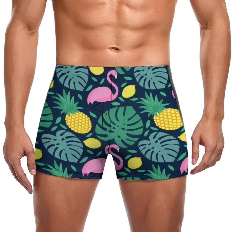 Funny mens swimwear sale