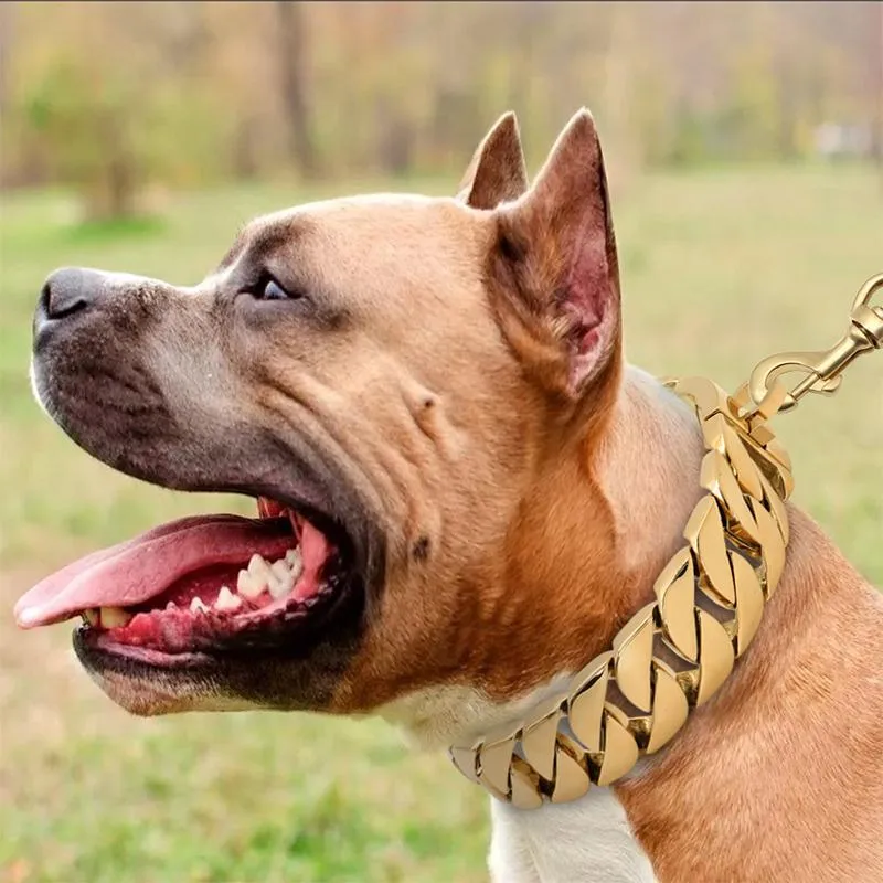 Unbreakable Stainless Steel Choker Collar Gold Dog Necklace for Large Breeds