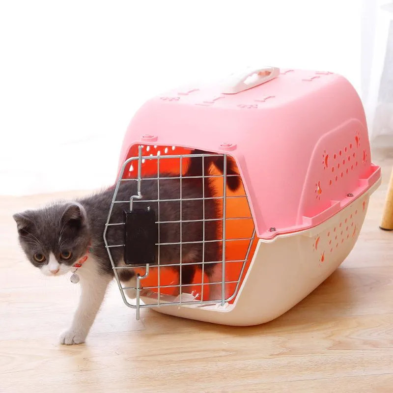 Pet carry case new arrivals