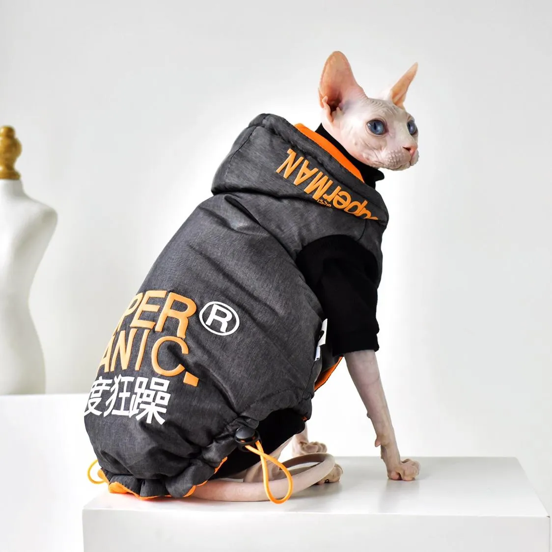 Clothing C C Selfheating German velvet Sphinx Fall Botomming shirt for Cat outfits kitty Winter Coat Sphynx Clothes hairless cat clothes