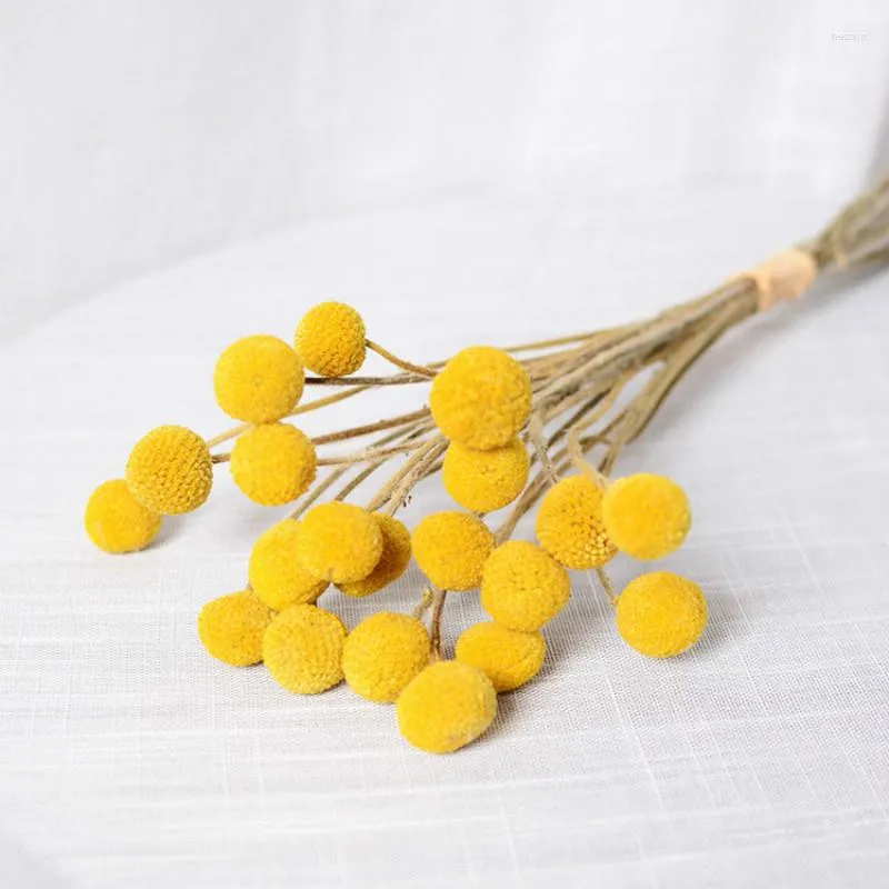 Decorative Flowers 5pcs Dried Branch 3cm Large Billy Ball Bouquet Flower Yellow Plants Floral Home Decoration Accessories