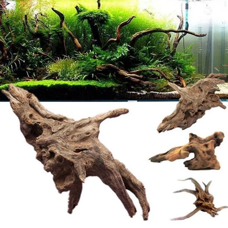 Decorazioni 1 pezzo Creativo Accessori per acquari Decorazione per acquario Paesaggistica Alberi alla deriva Taglia S/M/L Acquario Decorazione Attrezzatura 2023