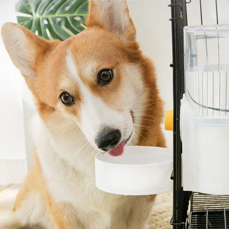 Besleme Köpek Besleme Kase Su içen tavşan kafesi Asma Otomatik içme çeşmesi besleyici büyük kapasiteli kedi evcil hayvanlar kase