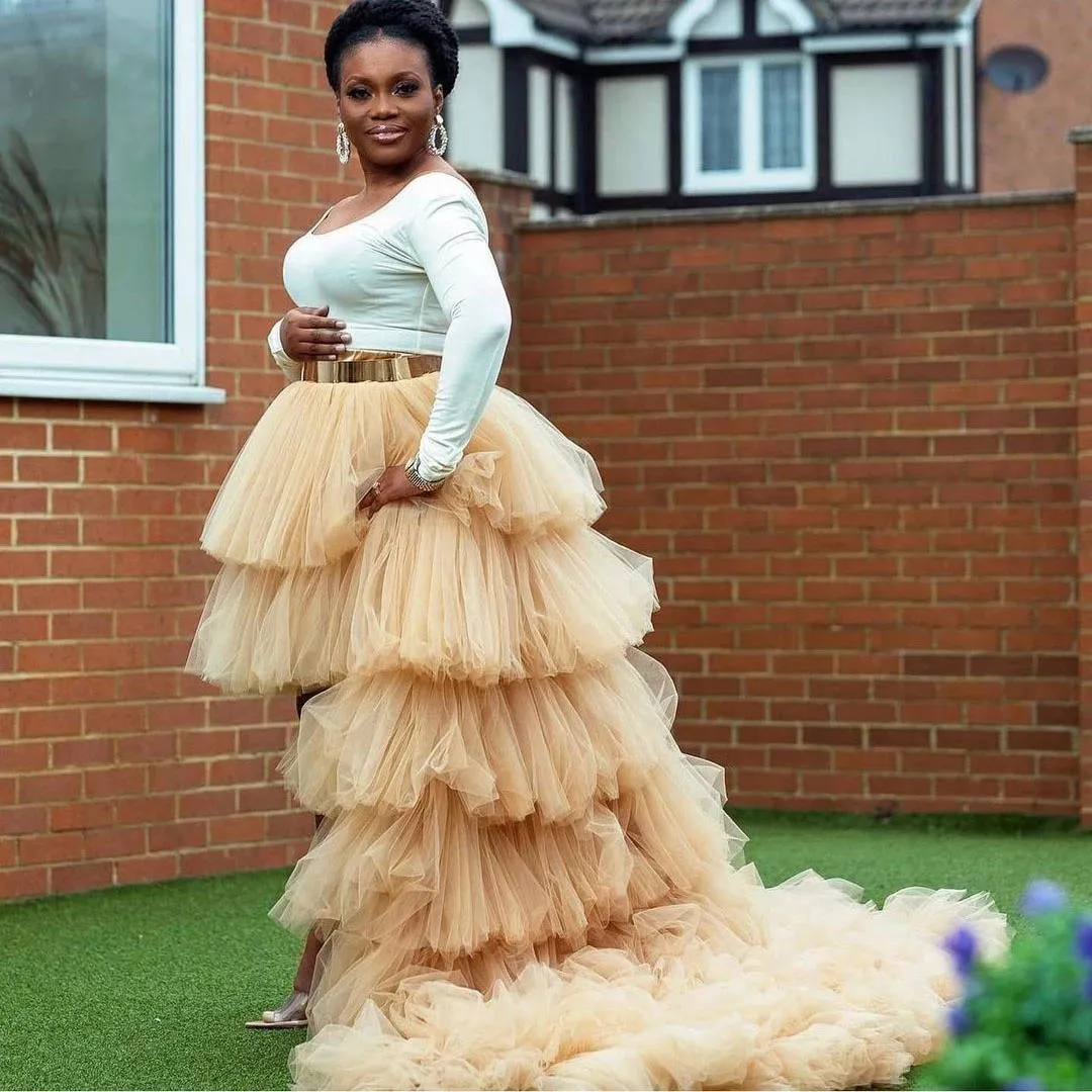Long tulle skirt white hot sale