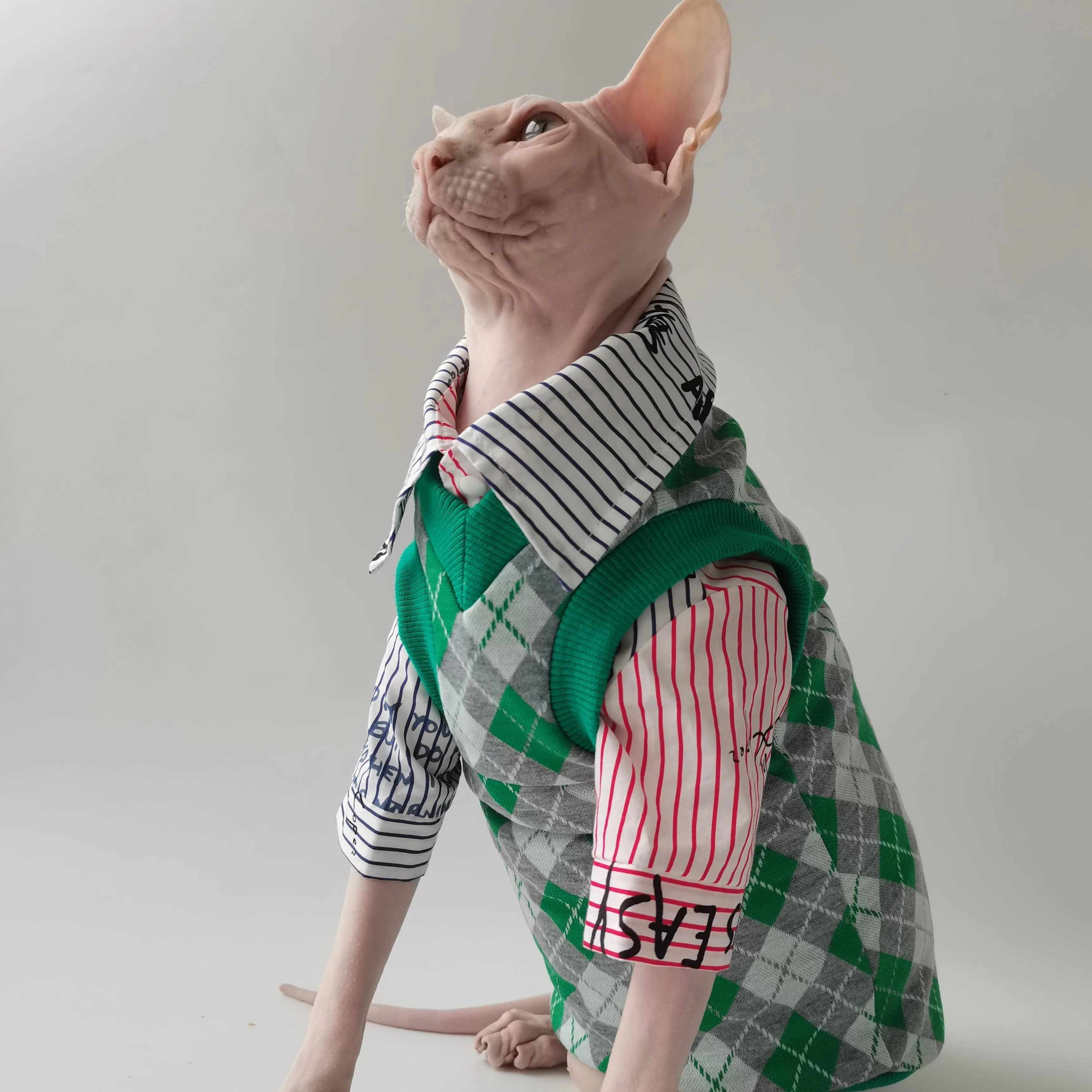 Одежда осенне-зимняя одежда для котят Devon Rex Conis, вязаный свитер с v-образным вырезом для лысых кошек, одежда для сфинкса для кошек, одежда для кошек сфинкса