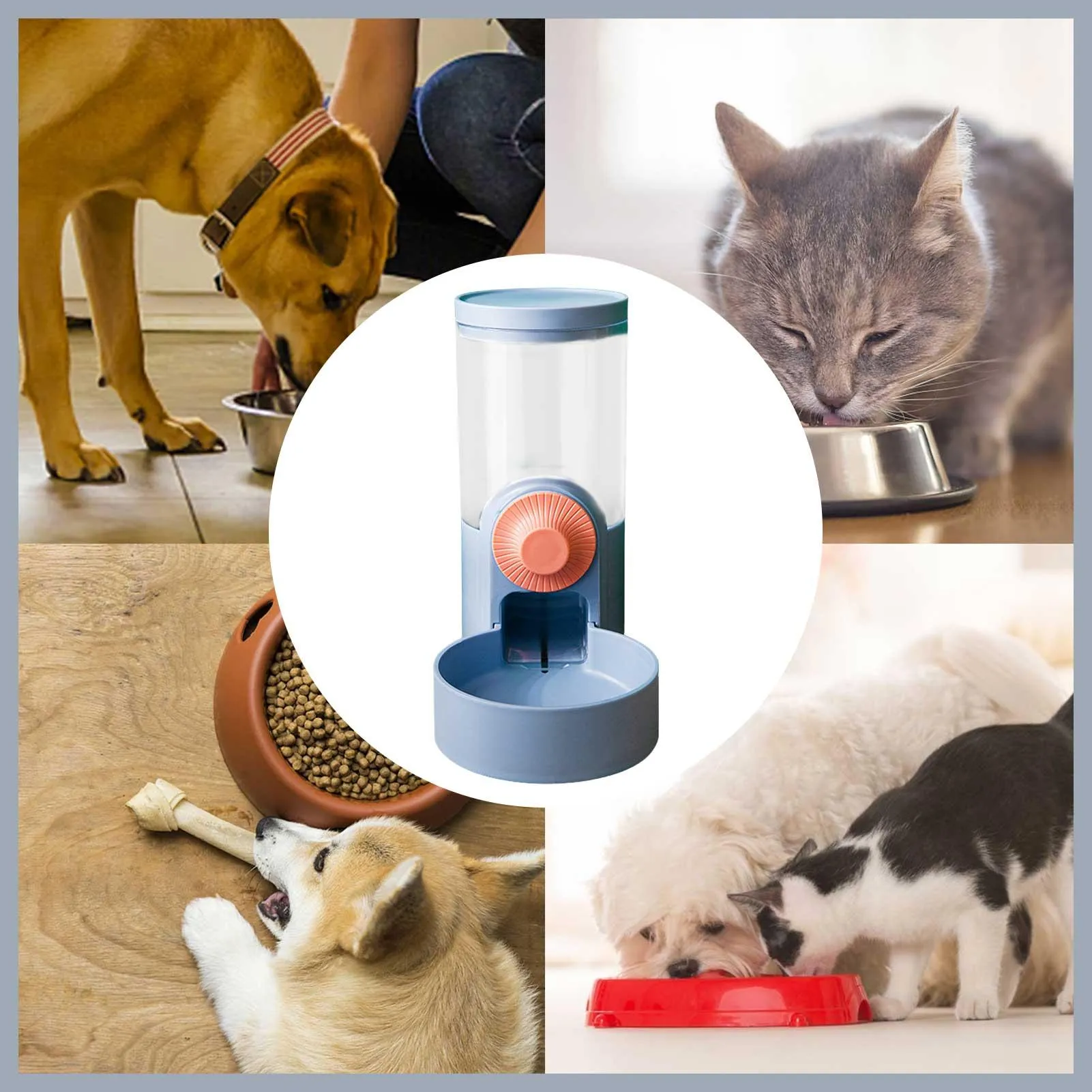 Pedal dish cat feeder discount