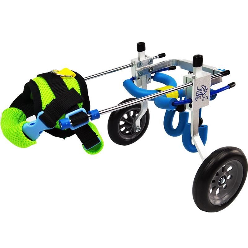Transporteur Chien Fauteuil Roulant Réhabilitation Des Membres Postérieurs Grand Chien Marchant
