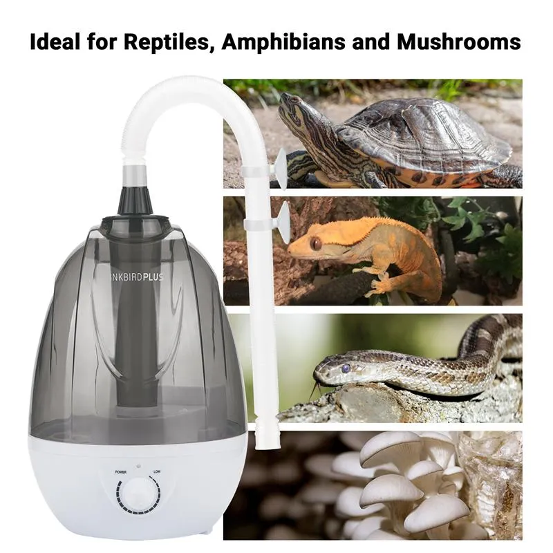 Producten INKBIRD Luchtbevochtiger voor Reptielen Mist Fogger met Slang Terrarium Hagedis Herps Amfibieën Kameleon Dierbenodigdheden Accessoires