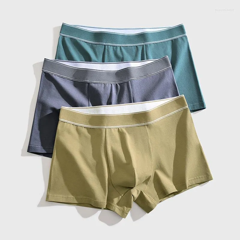 Caleçon coton hommes sous-vêtements Boxer Modal Homme Boxershorts hommes boxeurs couleur Pure mâle été 2023