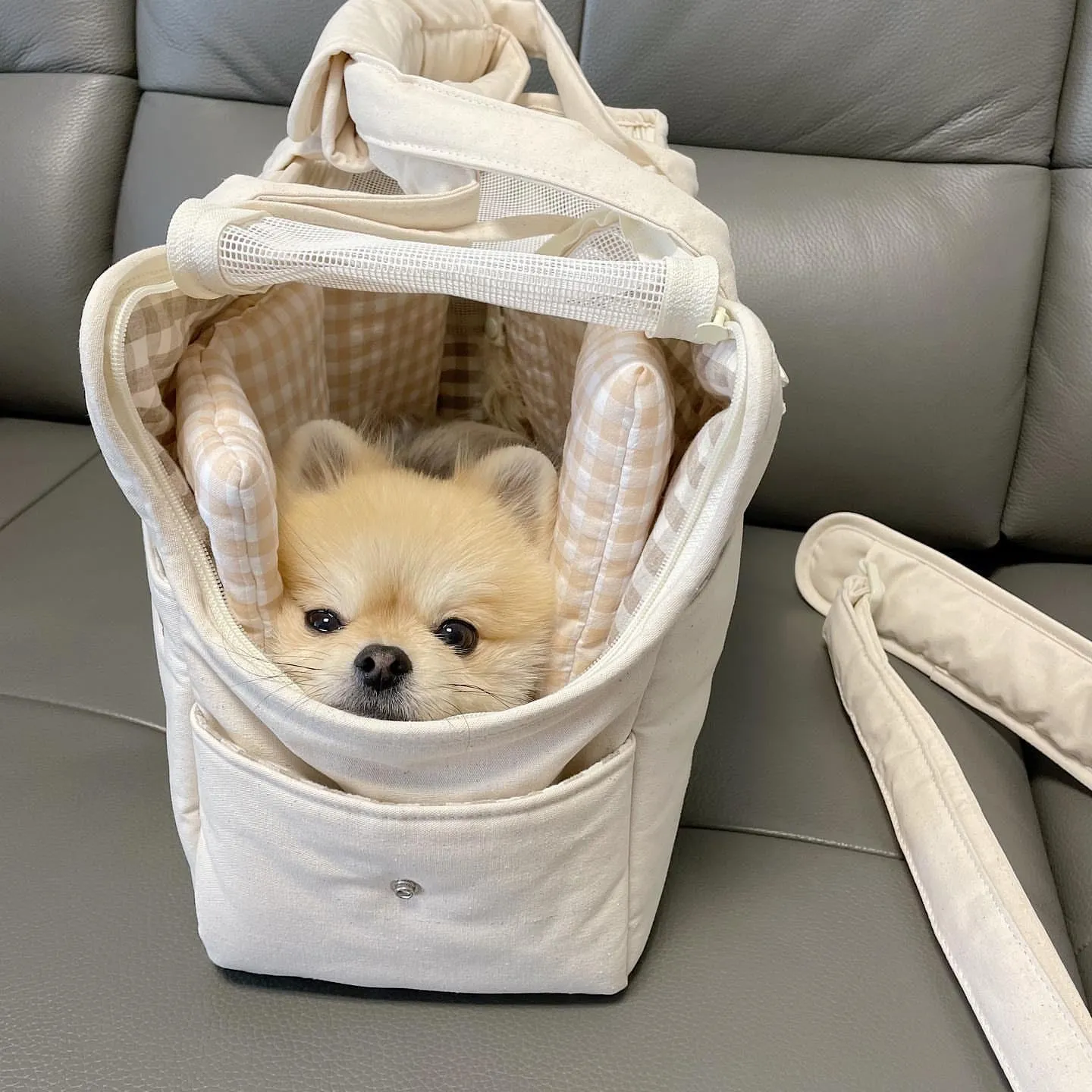 Bolsa transportadora para cães e gatos, portátil, bolsa de ombro, respirável, para 13lbs, bolsa para animais de estimação, viagem, cesta de transporte ao ar livre