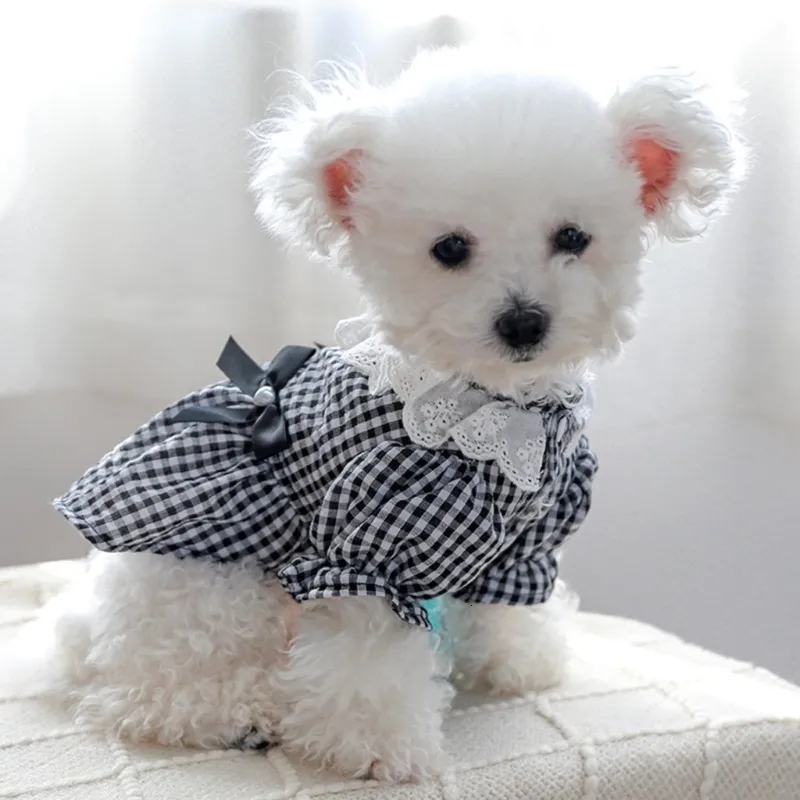 Dapper dog cheap clothing