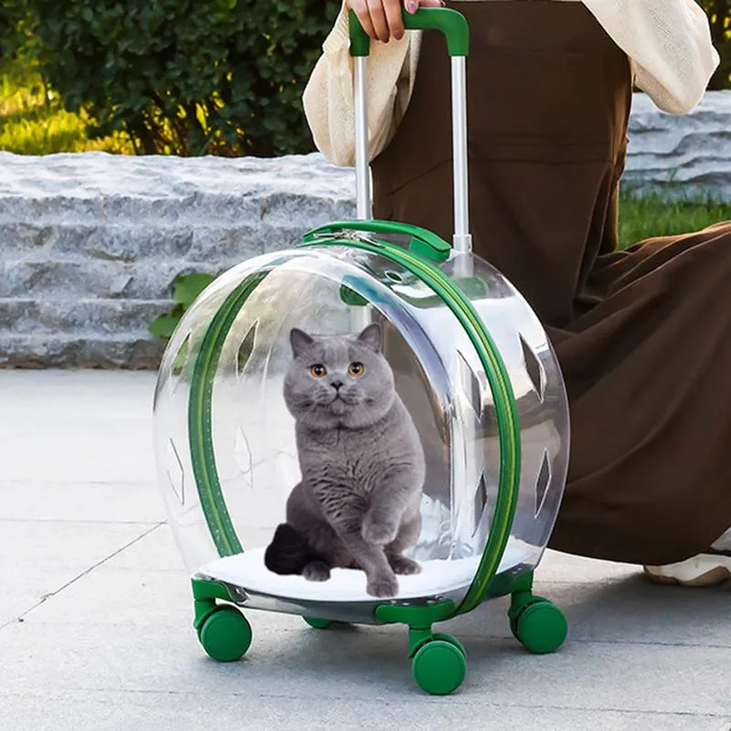 Transporteur Hittoal poussette pour animaux de compagnie chat chien fenêtre transparente large vue sac à main de voyage sortie Portable mode acrylique voyage sac extérieur