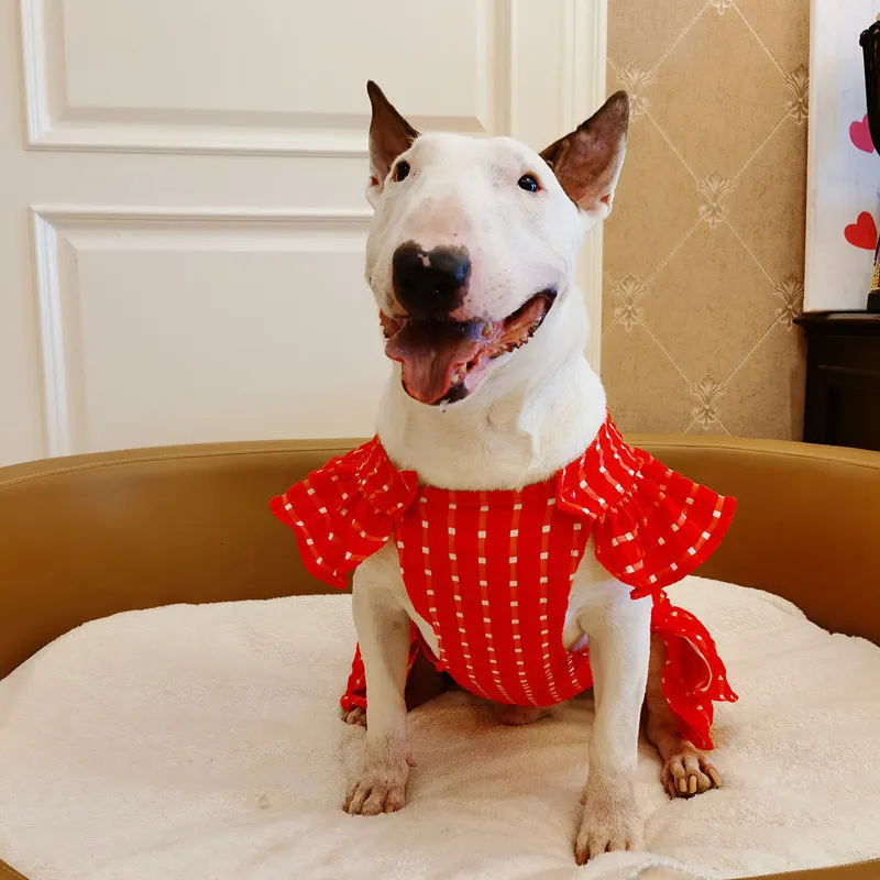 Bull terrier apparel hotsell