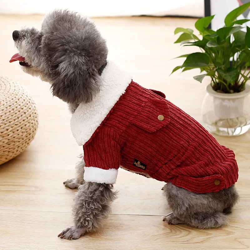 Ubrania z ubrania dla psa dla małych psów Dostarczanie zwierząt domowych Płaszcz Płaszcz Dachshund Corgi French Bulldog Ubrania Chihuahua odzież 230504