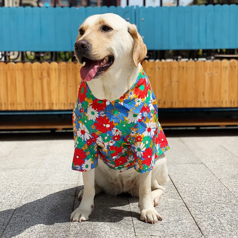 Large dog apparel cheap