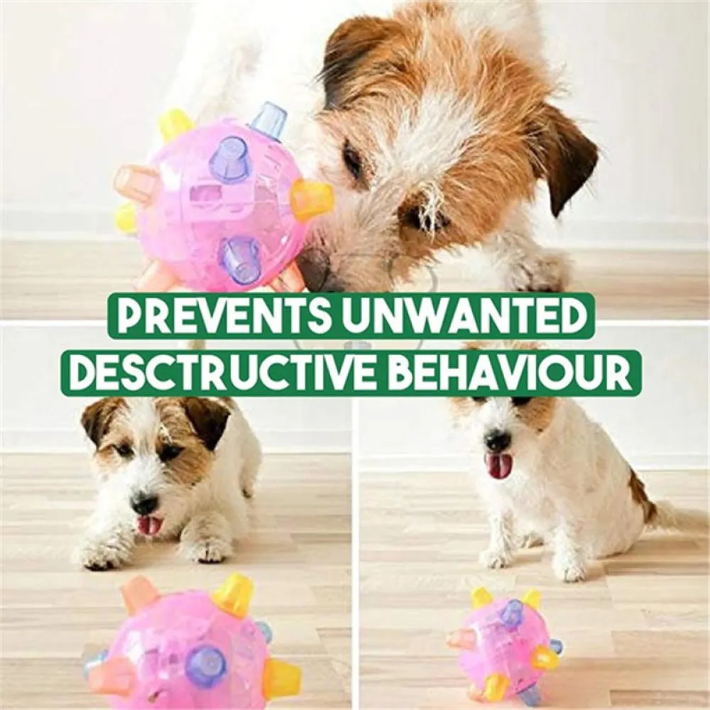 Dog jumping activation ball store