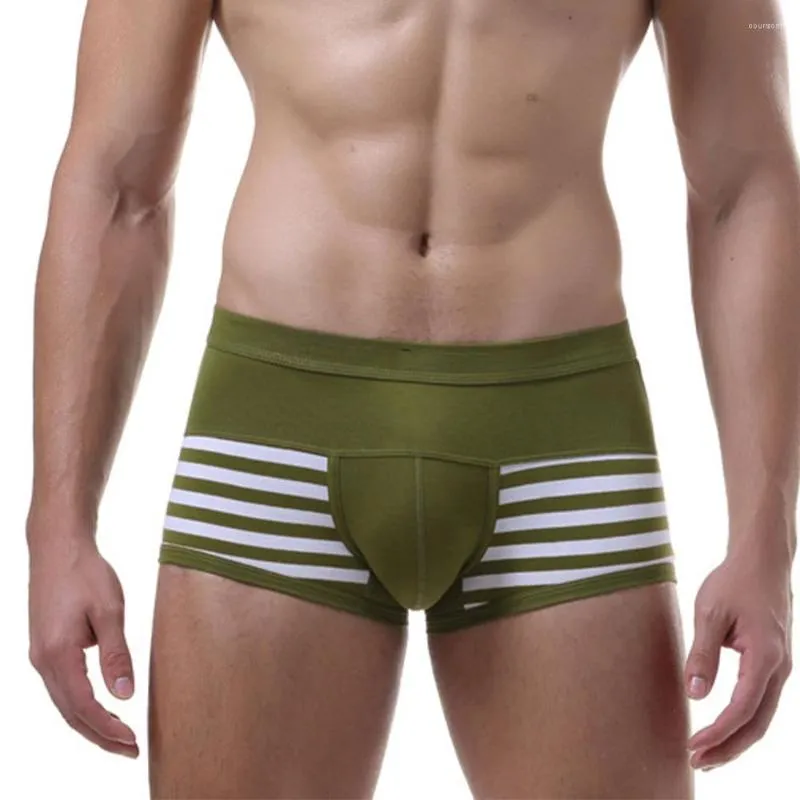 Calzoncillos Con Estampado A Rayas Boxer Pantalones Cortos