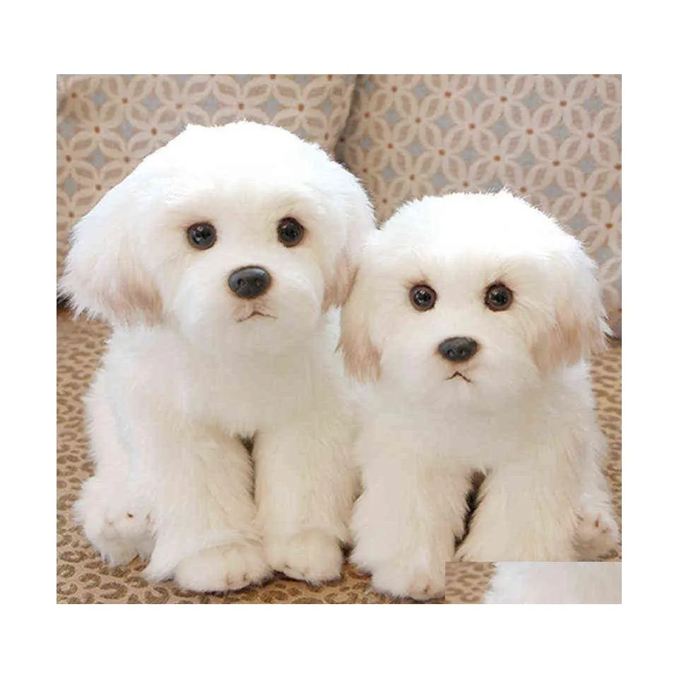 Peluş Bebekler 2 Boyutlar Malta Dolgulu Köpek kucaklaştı Sevimli Simation Pets Ldren Bichon Taze Köpek Hediye J2207 DH3F0