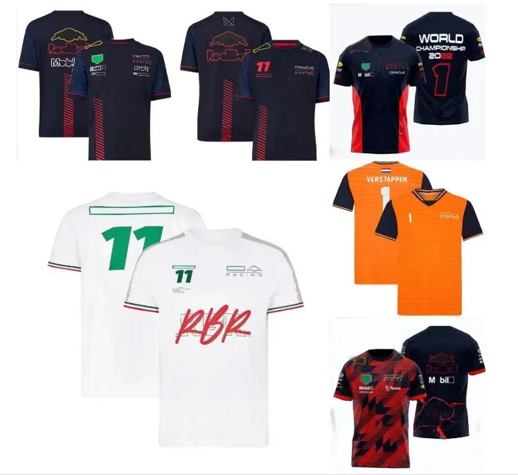 Men's Polos New F1 racing T-shirt summer team short sleeve jersey same style Customizable QCYG