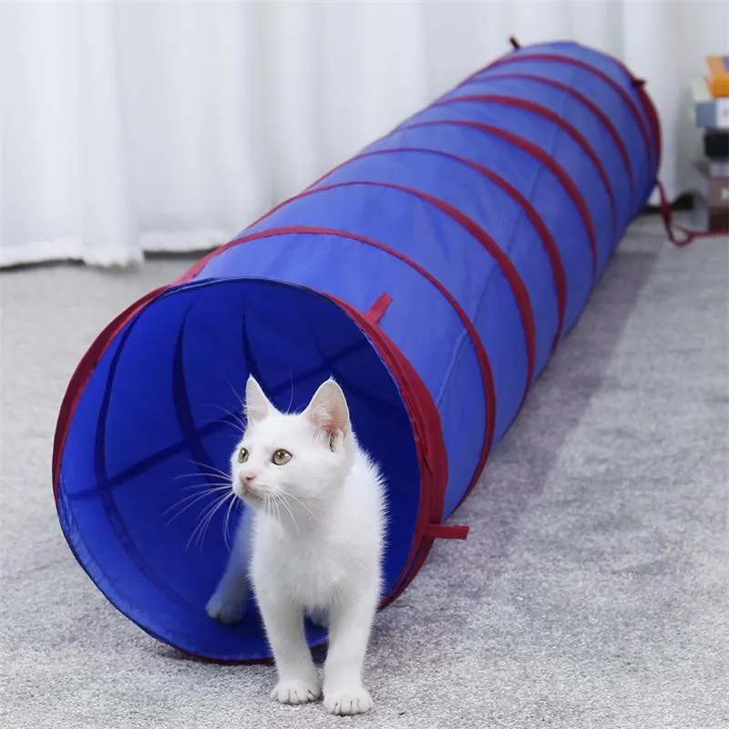 Spielzeug Katzen-Hundetunnel Premium S-förmige Tunnel Zusammenklappbarer Katzenspieltunnel Spielzeug Interaktives Katzenrohr mit Pompon und Glocken für Katzenwelpen