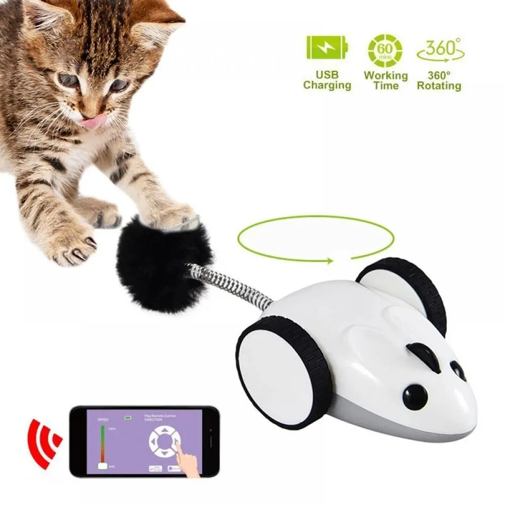 Jouets interactifs avec chargeur USB, souris électrique Bluetooth, télécommande pour chat, morsure à mâcher, chaton, jouets, accessoires pour animaux de compagnie