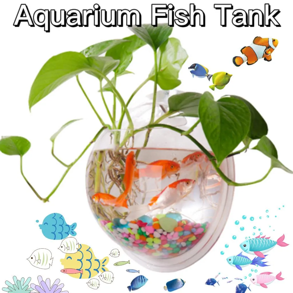 Réservoirs Support mural acrylique Aquarium réservoir de poissons pour animal de compagnie aquatique Betta poisson poisson rouge plante boule suspendue transparente Vase clair décor à la maison