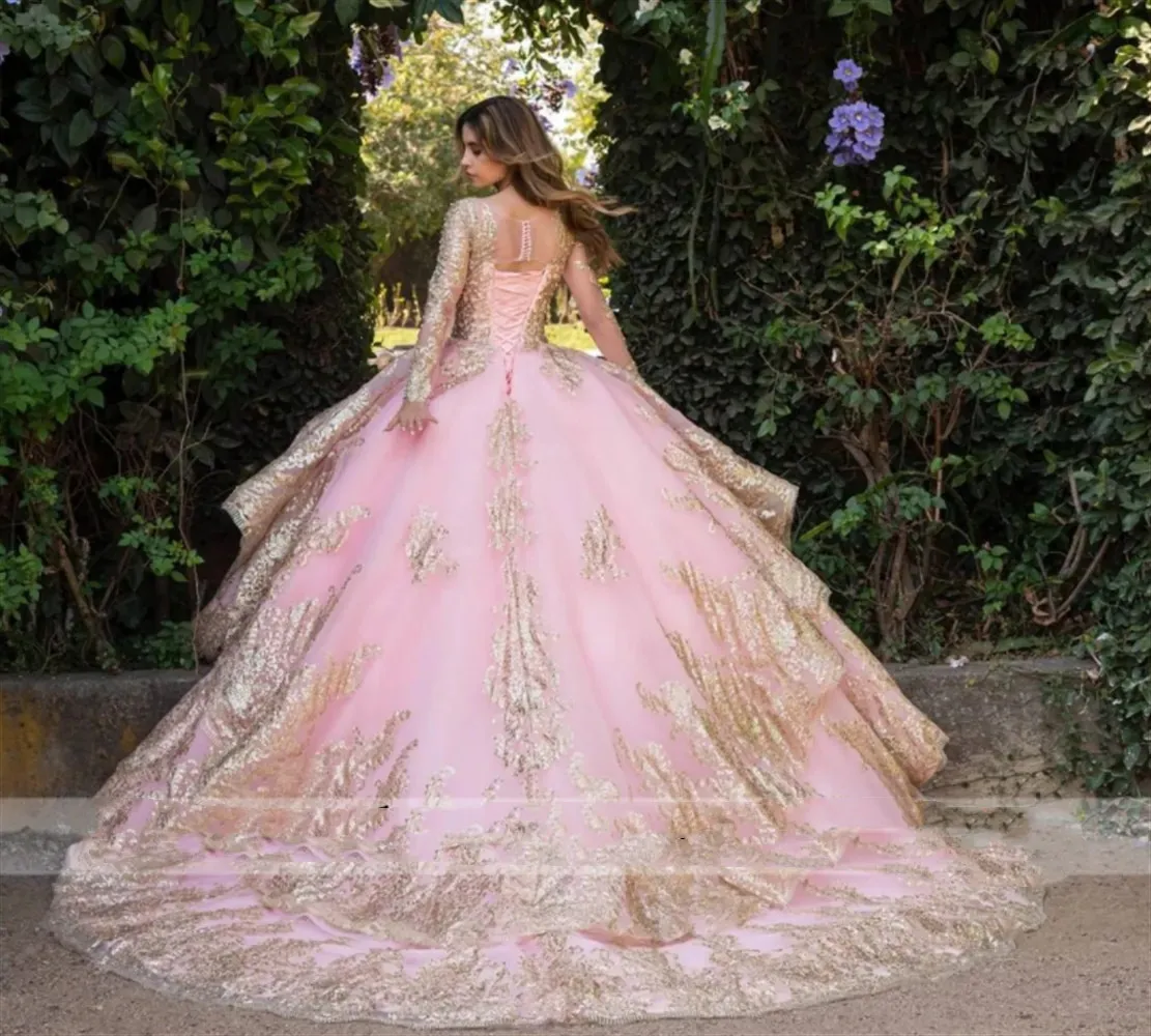 100 top quinceanera dresses