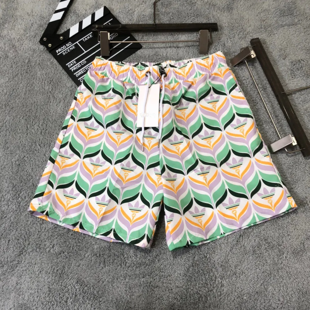 Board short brands best sale