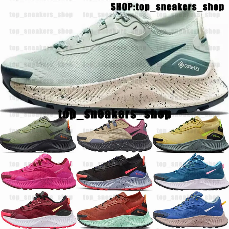 Chaussures Pegasus Trail 3 Gore Tex Us12 Taille 12 Baskets Hommes
